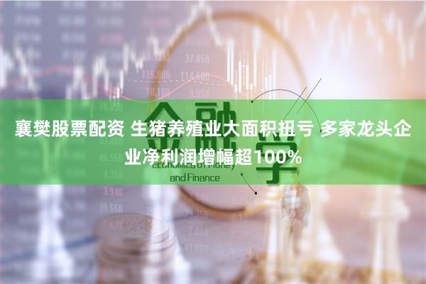 襄樊股票配资 生猪养殖业大面积扭亏 多家龙头企业净利润增幅超100%